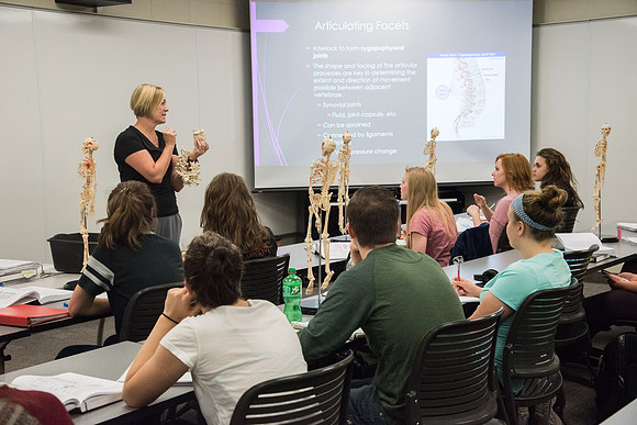 Dance Professor, Wendy Bone teaching students Kinesiology. June 2018