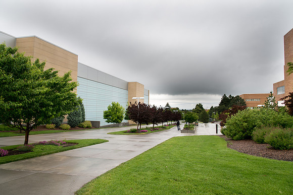 Rainy Day on campus