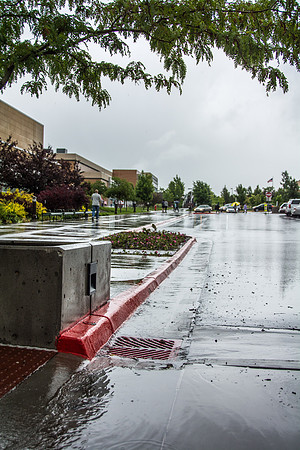 Spring Rain