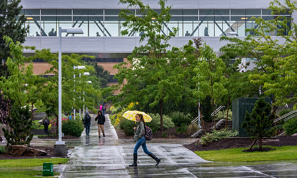 Spring Rain