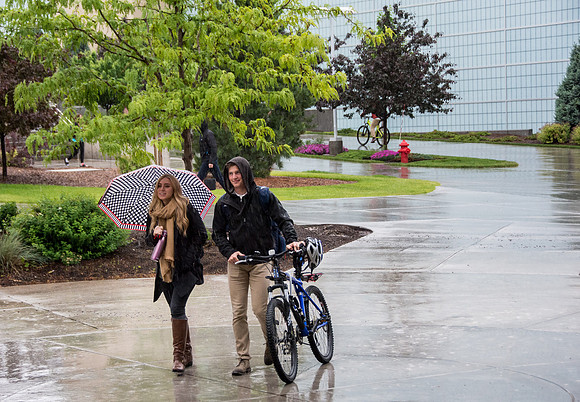 Spring Rain
