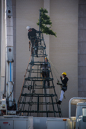 The BYU-Idaho ground keeping crew set up a christmas tree in front of the Taylor chapel. Fall Semester.