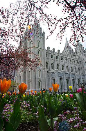 Salt Lake City Temple- APR 2011