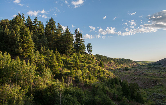 Teton River