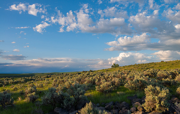 Teton River