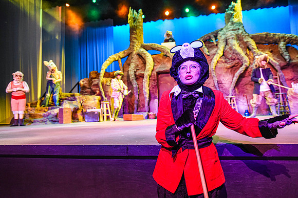 The theatre department's dress rehearsal of the Wind in the Willows in the Snow Drama Theatre.