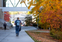 Fall