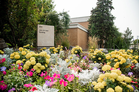 Flowers and greenery outside the Hart building during the Summer of 2021.