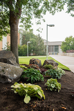 Flowers and greenery outside the Hart building during the Summer of 2021.