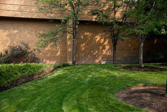 Trees and sign outside the Romney building in the summer of 2021.