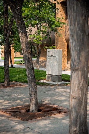 Trees and sign outside the Romney building in the summer of 2021.
