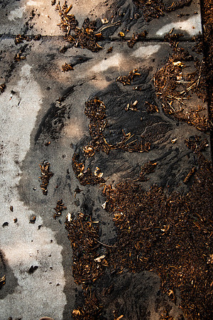 Dirt and mulch patterns left on the sidewalk after a weekend of heavy rain on campus in the summer of 2021.