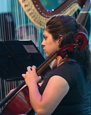 BYU-Idaho Orchestra made up of 24 talented musicians tours the Great Lakes region under direction of Dr. Dallin Hansen. Concert in Cedar Rapids, Iowa in the Whipple Auditorium, Public Library.