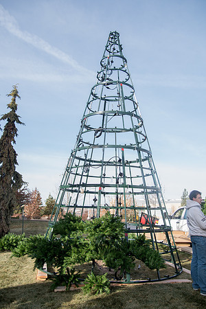 Christmas Tree at the Taylor Quad.