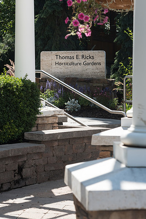 Ricks Gardens