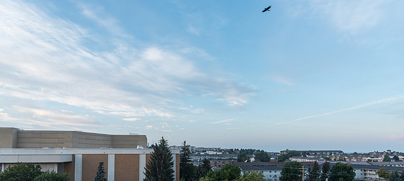 Sunrise on campus. Sept 2018