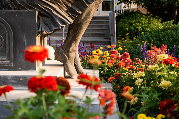 Plants and flowers around campus shot with a macro lens at sunset in the summer of 2021.