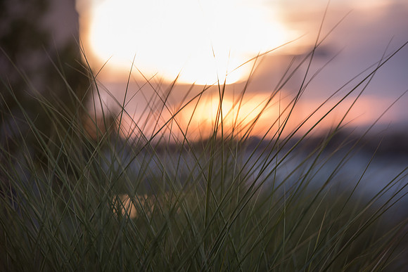 BYU-Idaho Campus grounds. Science and Technology building grass.
