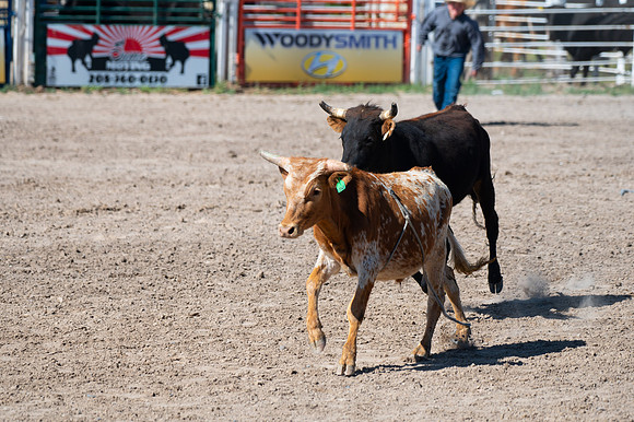 Spring Fest Rodeo - June 2025