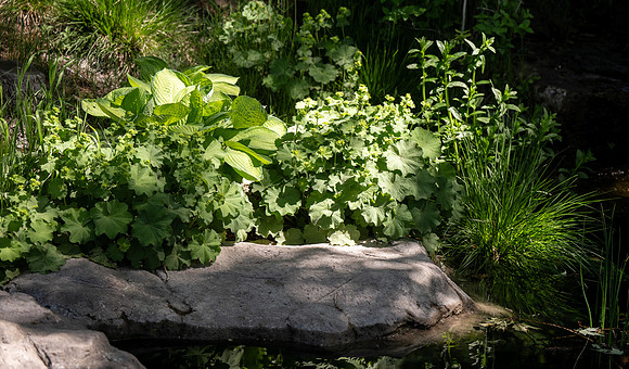 Water feature in the Thomas E Ricks Gardens at BYU-Idaho.