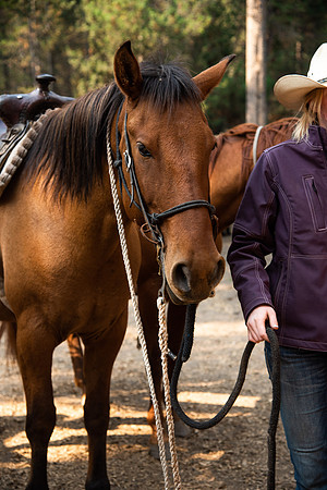 BYUI students go horseback riding at Harriman State Park in the summer of 2021.