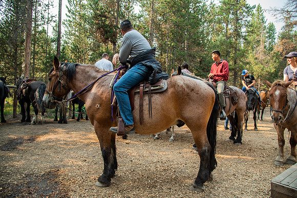 BYUI students go horseback riding at Harriman State Park in the summer of 2021.