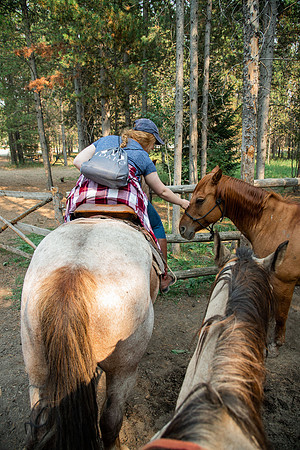 BYUI students go horseback riding at Harriman State Park in the summer of 2021.