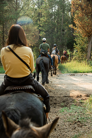 BYUI students go horseback riding at Harriman State Park in the summer of 2021.