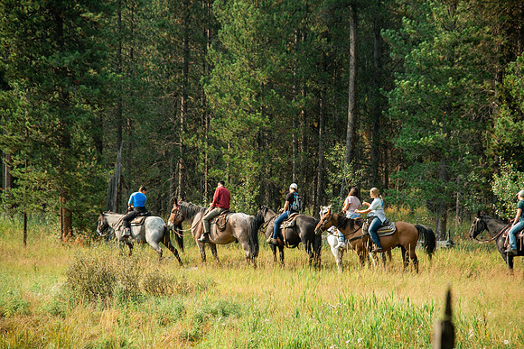 BYUI students go horseback riding at Harriman State Park in the summer of 2021.