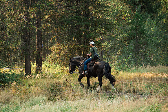 BYUI students go horseback riding at Harriman State Park in the summer of 2021.