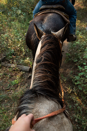 BYUI students go horseback riding at Harriman State Park in the summer of 2021.