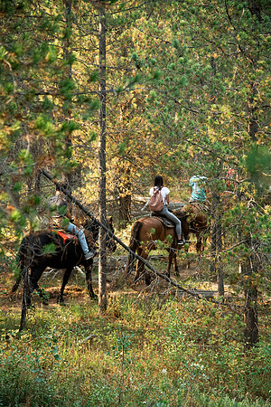 BYUI students go horseback riding at Harriman State Park in the summer of 2021.