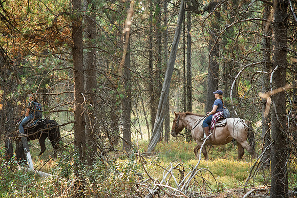 BYUI students go horseback riding at Harriman State Park in the summer of 2021.