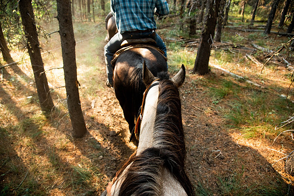 BYUI students go horseback riding at Harriman State Park in the summer of 2021.