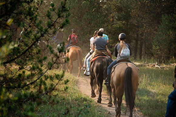 BYUI students go horseback riding at Harriman State Park in the summer of 2021.