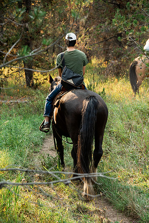 BYUI students go horseback riding at Harriman State Park in the summer of 2021.