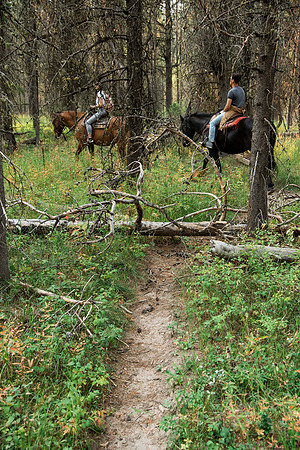 BYUI students go horseback riding at Harriman State Park in the summer of 2021.