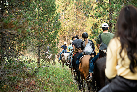 BYUI students go horseback riding at Harriman State Park in the summer of 2021.
