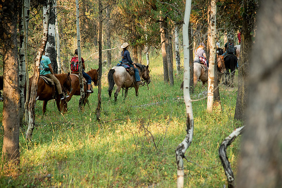BYUI students go horseback riding at Harriman State Park in the summer of 2021.