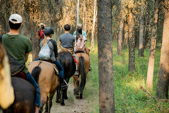 BYUI students go horseback riding at Harriman State Park in the summer of 2021.