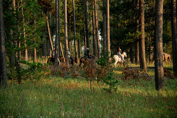 BYUI students go horseback riding at Harriman State Park in the summer of 2021.