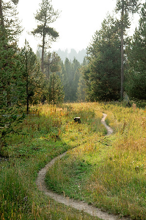 BYUI students go horseback riding at Harriman State Park in the summer of 2021.