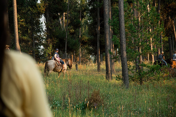 BYUI students go horseback riding at Harriman State Park in the summer of 2021.