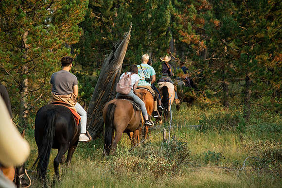 BYUI students go horseback riding at Harriman State Park in the summer of 2021.