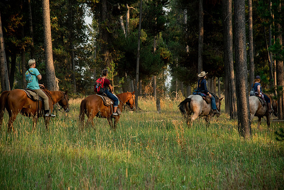 BYUI students go horseback riding at Harriman State Park in the summer of 2021.