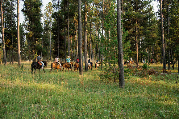 BYUI students go horseback riding at Harriman State Park in the summer of 2021.
