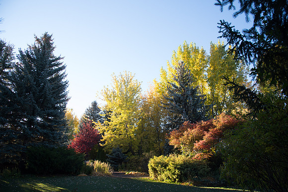 The Gardens--Sept 2018