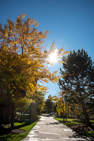 Fall Season- Oct 2018