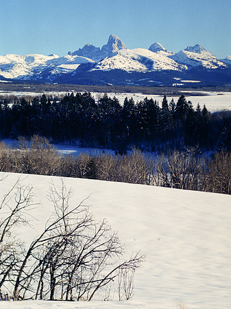 Badger Creek -Tetons - January 1995