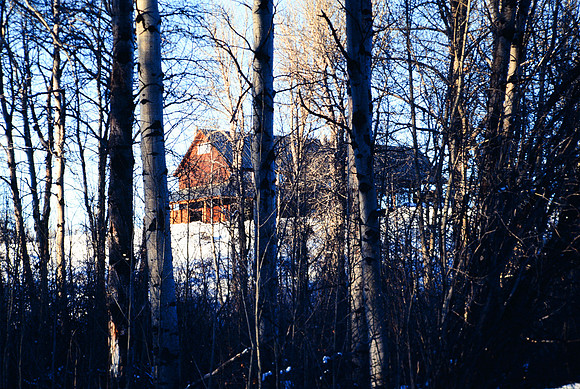 Badger Creek winter scene - January 1995